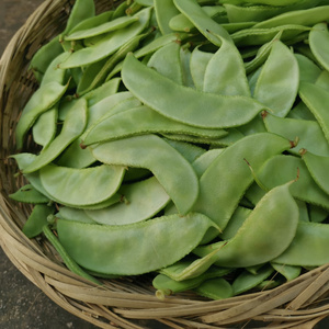 白扁豆梅豆角青眉豆月儿菜安徽六安霍山农家新鲜蔬菜扁豆青白豆角