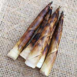 野生小竹笋安徽大别山霍山时令新鲜野笋嫩春笋小野山笋带壳现挖