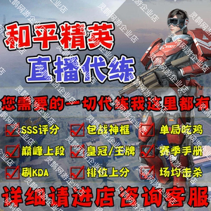 和平精英代练刺激战场代打排位吃鸡上分陪练战神框