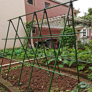 黄瓜豆角爬藤架蔬菜架番茄种植箱爬藤架固定支撑杆种菜园艺架子