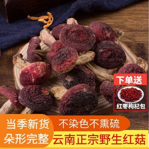 云南山珍50克野生红菇干货特级新鲜正宗食用营养菌菇食材香菇特产