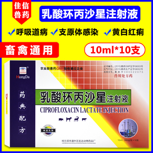 兽药兽用乳酸环丙沙星注射用液仔猪黄白痢猪牛羊拉稀腹泻一针止痢