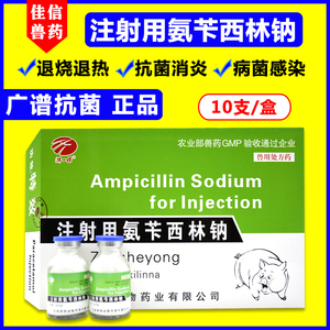 兽药用注射用1g氨苄西林钠粉针青霉素10瓶一盒猪牛羊退烧消炎包邮