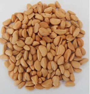 中药材 山楂籽 500克 山楂籽 山楂核 山里红籽