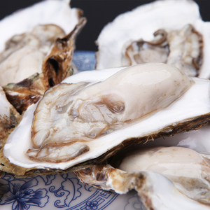 大连生蚝即食鲜活牡蛎5斤顺丰包邮新鲜海蛎子肉海鲜水产批发10