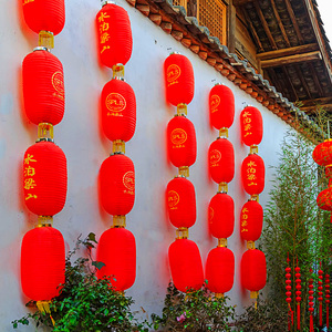 冬瓜拉丝连串灯笼国庆节户外装饰防水中日韩式广告红灯笼定做供应