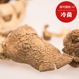 000人付款淘宝云南特产食用菌鸡足山纯野生北风冷菌一窝菌佛菌无污染
