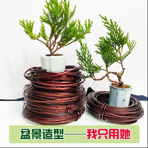 盆景造型专用软铝线盆景制作整形蟠扎铝丝盘扎枝条定型铁丝材料