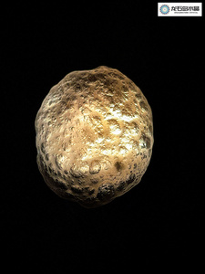 龙石岛天然天狼星玻陨石原石亚利桑那标本桌面摆件手握石情侣礼物