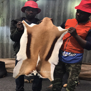 非洲进口羊皮跳羚地毯皮毛坐垫兽皮标本轻奢壁挂铃羊装饰摆件收藏