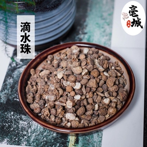 滴水珠中药材100克包邮 野生正品一粒珠石半夏独叶一枝花一滴珠