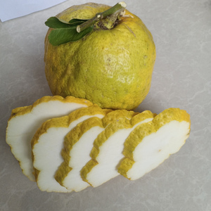 901人付款淘宝云南特产香橼果新鲜现摘发佛手片供贡果农家水果香园圆