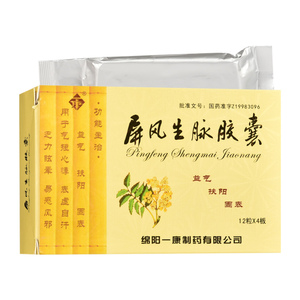 隐私发货 多盒优惠】一康 屏风生脉胶囊 0.