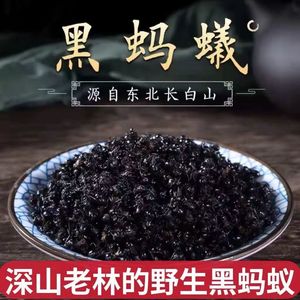 中药材黑蚂蚁横县500g广西拟黑多刺蚁非长白山干晒养身泡酒料磨粉