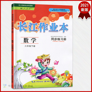 正版现货2021 长江作业本同步练习册 小学数学六6年级下册 人教版长江