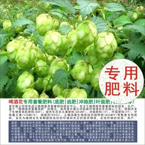 酵母有机肥料