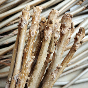 东北野生山核桃树枝长白山楸树尖药用新鲜煮鸡蛋正宗猴脸500g包邮