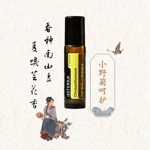 多特瑞精油野菊