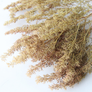 403人付款天猫桃花 落地干花树枝树枝装饰干花枝干花花束真花干枝干花