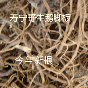 60 5人付款  淘宝 寿宁特产 百路通 异叶茴芹 六月寒  鹅脚板根 干货