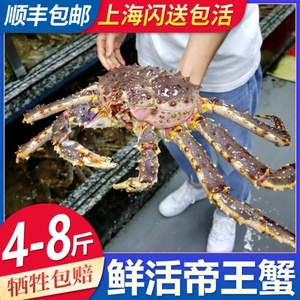 帝王蟹鲜活超特大10海鲜水产4-8斤活体长脚蟹帝皇蟹上海闪送包活