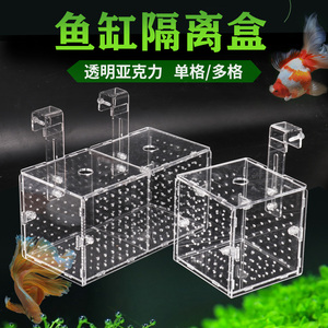 隔离盒3mm厚水族小鱼苗孵化繁殖亚克力单双多格广州发货热销2mm孔