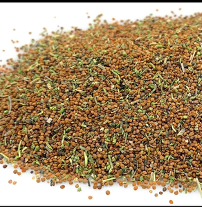 繁缕种子鸡肠草鹅儿肠减重中草药耐霜冻杂草江西繁缕籽鹅肠草种子