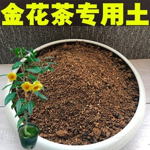 金花茶专用土盆栽酸性沙质泥炭红土壤金花茶绿植种植土营养土肥料