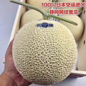 日本进口网纹蜜瓜单颗装日本静冈温室进口一藤一瓜大果奢侈网纹瓜
