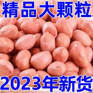 2023年新货生花生米5斤大粒白沙花生米农家自产新鲜不带壳花生仁