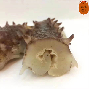 野生进口摩洛哥白刺参淡干海参 白刺秃参海参非辽参干货500克包邮
