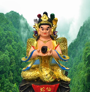 蛇像金属彩色神像画 生肖蛇仙蟒灵蛇真身佛像客厅装饰居家摆件