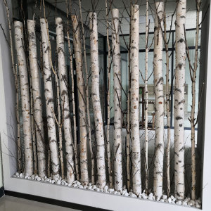 白桦树装饰墙