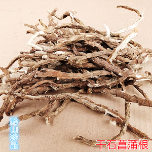 石昌蒲山菖蒲 香菖蒲水剑草石菖浦臭蒲根新鲜晒干500g石菖蒲