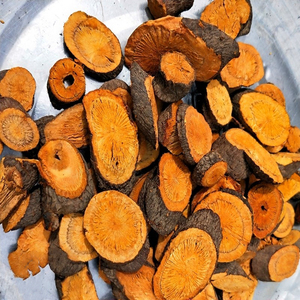 贵州虎杖根中药材花斑竹黄地榆酸汤杆大虫杖农家采挖肉根切片晒干