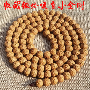 蛤蟆背小金刚6瓣