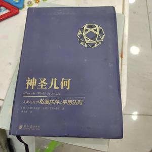 认知神圣几何隐藏着揭开世界奥秘钥匙 几何原理数学哲学书籍1人付款