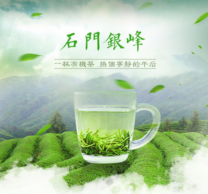 清福茶庄太青石门银峰双上绿芽直条毛尖2022湖南绿茶自产自销250g