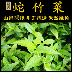 鸭跖草新鲜现采 潮汕青草药 水竹草 蛇竹菜 竹节菜 蛇竹草 竹节草