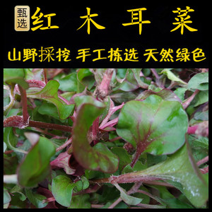 旱地西洋菜 新鲜现釆 潮汕青草 药 红木耳菜 锦绣苋 台湾枸杞菜