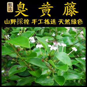 00成交4笔淘宝天然原色藤条拐杖老人防滑手杖黄藤拐杖