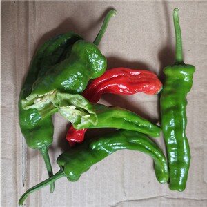 山东枣庄本地农家新鲜薄皮辣椒皱皮一窝蜂现采摘特辣螺丝椒用包邮
