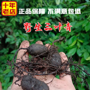 【三叶青新鲜】三叶青新鲜品牌,价格 - 阿里巴巴