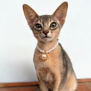 猫咪珍珠项链猫咪脖套宠物用品装饰宠物复古宝石珍珠项圈可爱贵气