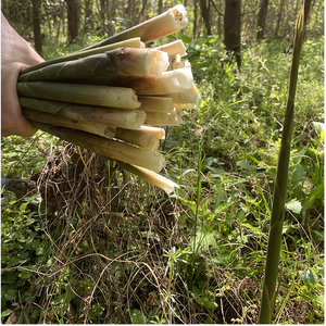 新鲜小竹笋纯野生蔬菜安徽芜湖深山春笋当天现掰带壳