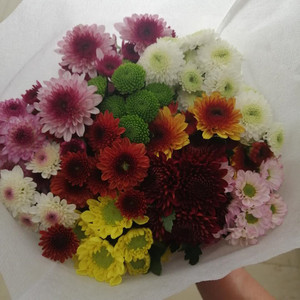 云南鲜花小雏菊基地直发同城速递家用水养办公装饰鲜切花小菊花