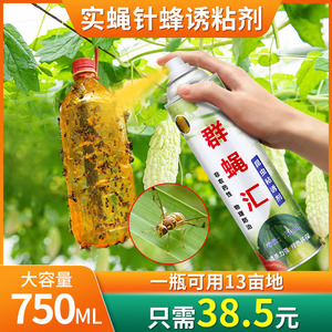 得刚瓜果实蝇诱粘剂果针蜂引诱剂菜园果园灭昆虫果蝇诱捕器粘胶板