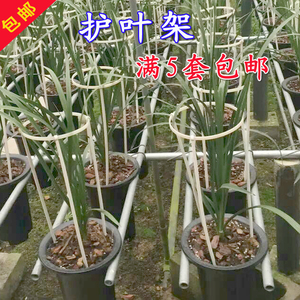 兰花护花架
