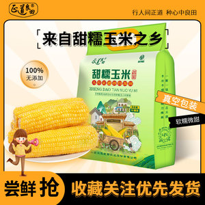 23年山西新鲜现摘糯玉米速食真空甜糯玉米棒散装甜糯香黏代餐粗粮