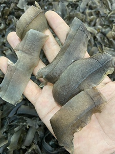 90tb0703787_2012淘宝甲鱼鞭新鲜冷冻男用现杀生鲜王八鞭团水鱼龟鞭